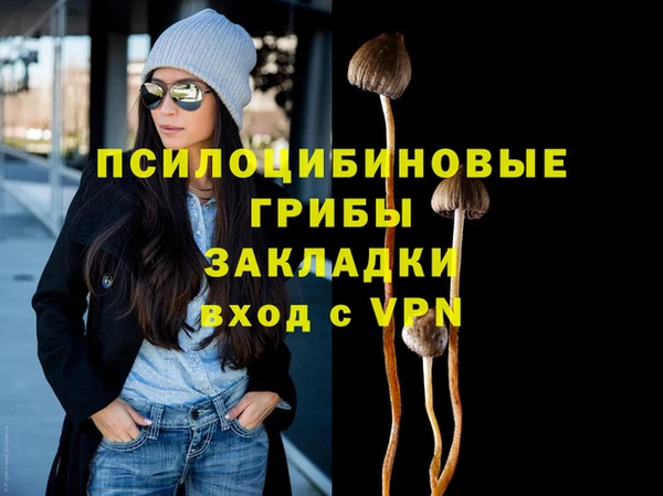 прущие крисы Михайлов